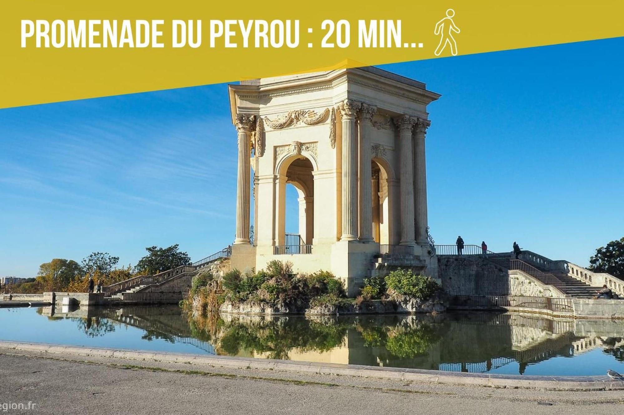 Amja Proche Clinique Saint-roch 3 3 Salles De Bain Parking Gratuit Ideal Famille Groupe Coworking 10 Min Centre 10 Min 5 Min Sortie Autoroute *