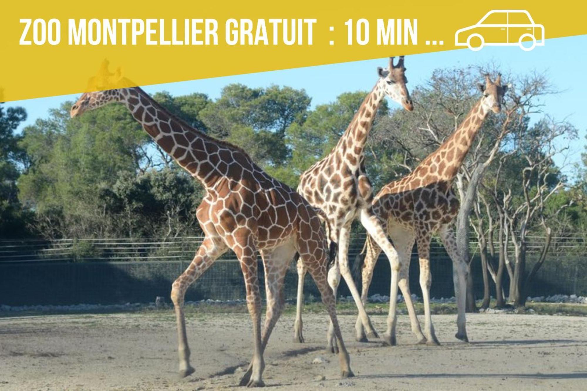 Amja Proche Clinique Saint-roch 3 3 Salles De Bain Parking Gratuit Ideal Famille Groupe Coworking 10 Min Centre 10 Min 5 Min Sortie Autoroute Apartamento *