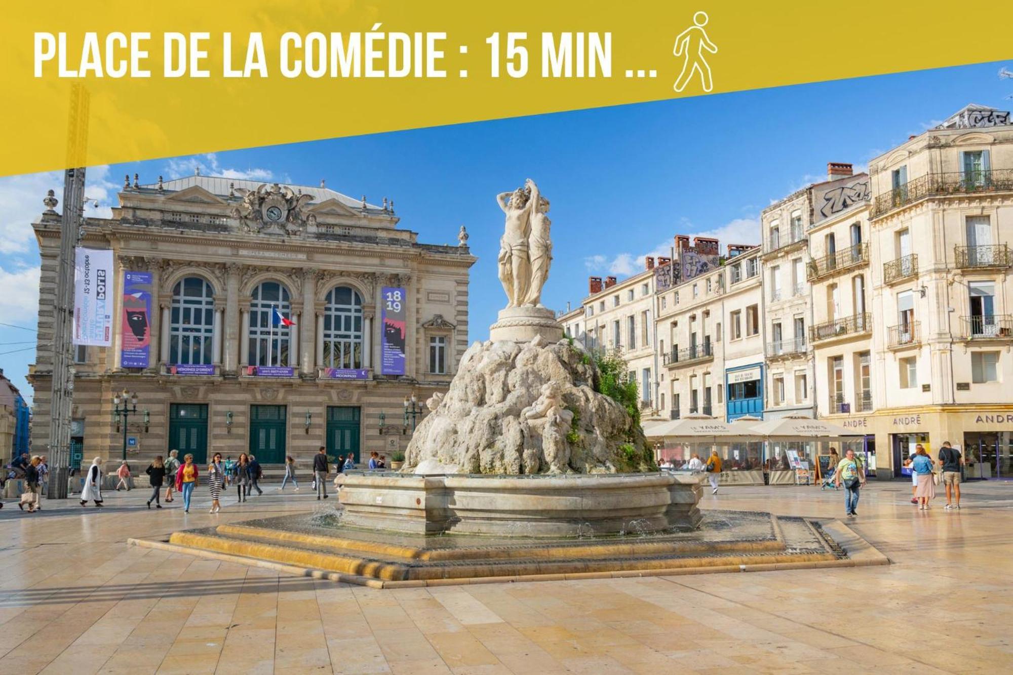 Apartamento Amja Proche Clinique Saint-roch 3 3 Salles De Bain Parking Gratuit Ideal Famille Groupe Coworking 10 Min Centre 10 Min 5 Min Sortie Autoroute *